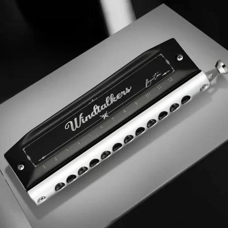 Chromatic Harmonica 12 Holes 48 Notes Beginner Student Children Professional Mouth Organ Playing Musical Woodwind Instruments