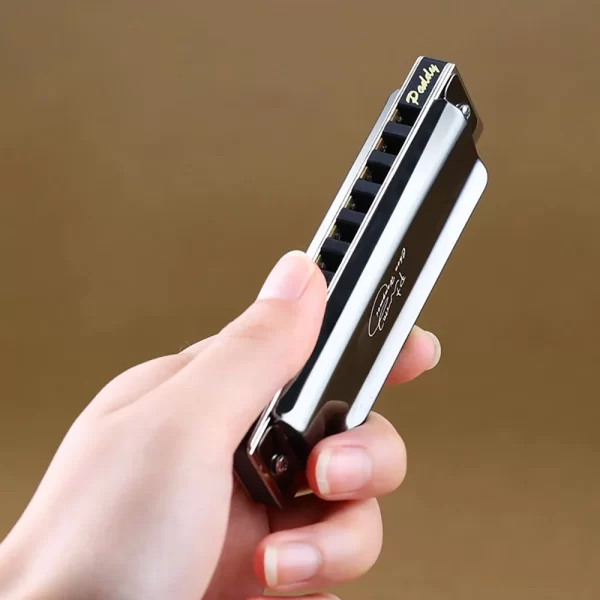 SWAN Blues Harmonica 10 holes 20 notes C key polyphonic model Suitable for beginners Musical instrument classes Hobby - Image 4