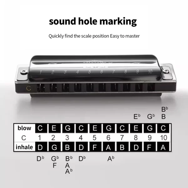 SWAN Blues Harmonica 10 holes 20 notes C key polyphonic model Suitable for beginners Musical instrument classes Hobby - Image 6