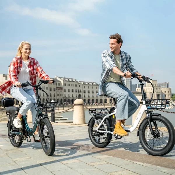 dyu 2025 new model us stock c9 20 inch 750w max speed 45km/h folding electric bike long range ebike