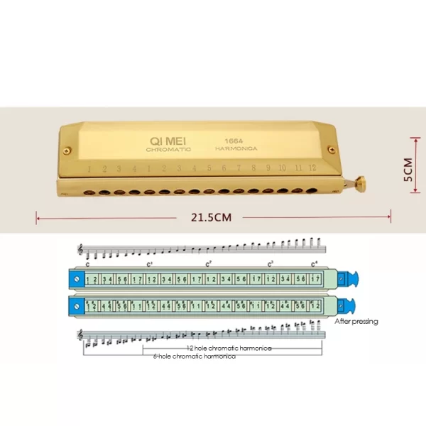 qi mei chromatic harmonica 16 hole 64 tone mouth organ instrumentos key of c professional musical instruments