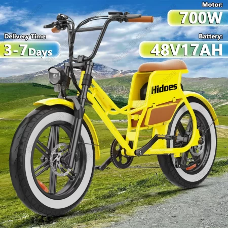 hd c8 e bike 700w motor 48v17ah removable battery city electric bicycle aldult 20*4.0 inch fat tires all terrain electric bike