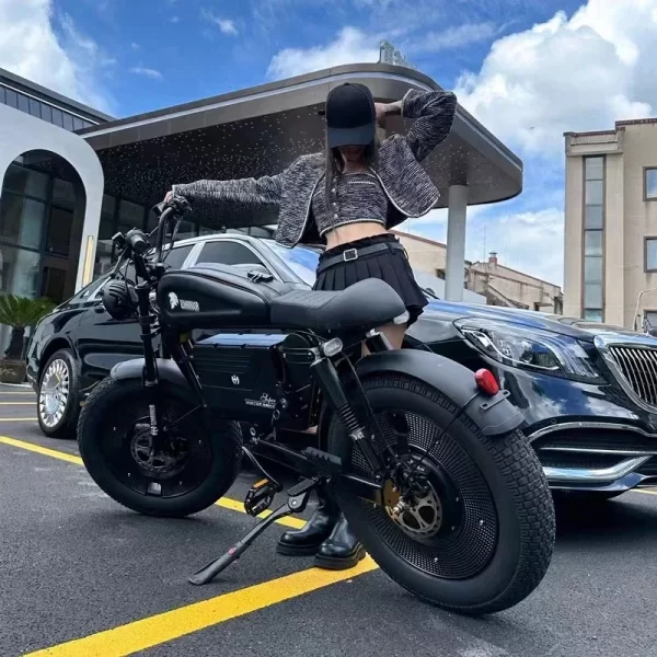 zpw black warrior 1500w motorbikes 48v 60ah ebike adult road electric bicycle 20 inch off road fat tyre electric bike 2000w