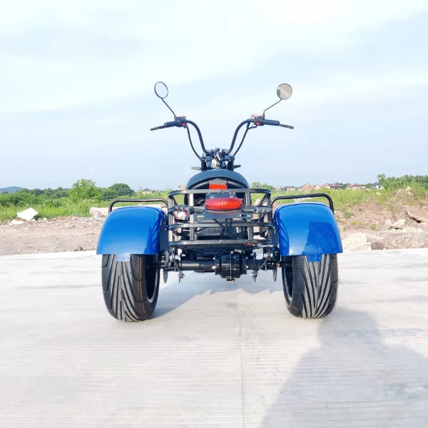 outdoor riding three wheel electric scooter with 18 inch fat tire 1500w motor