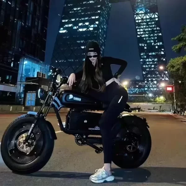 ebik black warrior 3000w motorcycle 60v 45ah ebike adult highway electric bike 20 inch off road fat tires suitable for desert mo