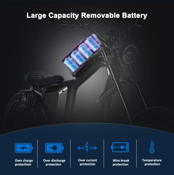 electric bike 1500w 48v 31.5ah lithium battery 20 inch fat tire road city ebike aluminum alloy adult off road electric bicycle