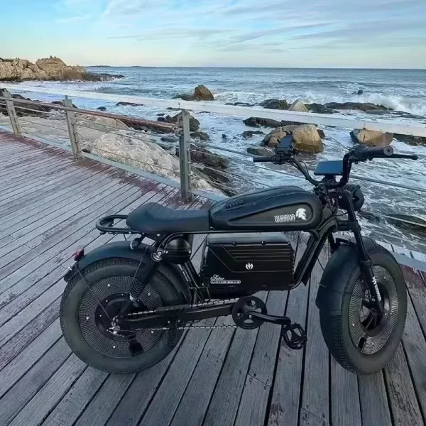 ebik black warrior 3000w motorcycle 60v 45ah ebike adult highway electric bike 20 inch off road fat tires suitable for desert mo