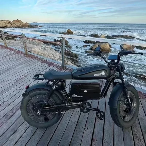zpw black warrior 1500w motorbikes 48v 60ah ebike adult road electric bicycle 20 inch off road fat tyre electric bike 2000w