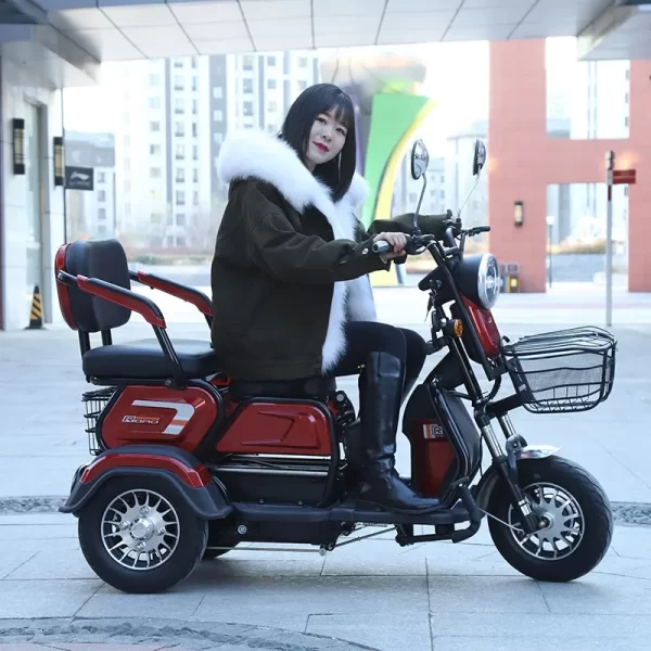 electric 3 wheeled lead acid battery 48v600w adult elderly leisure travel small household mini citycoco scooter