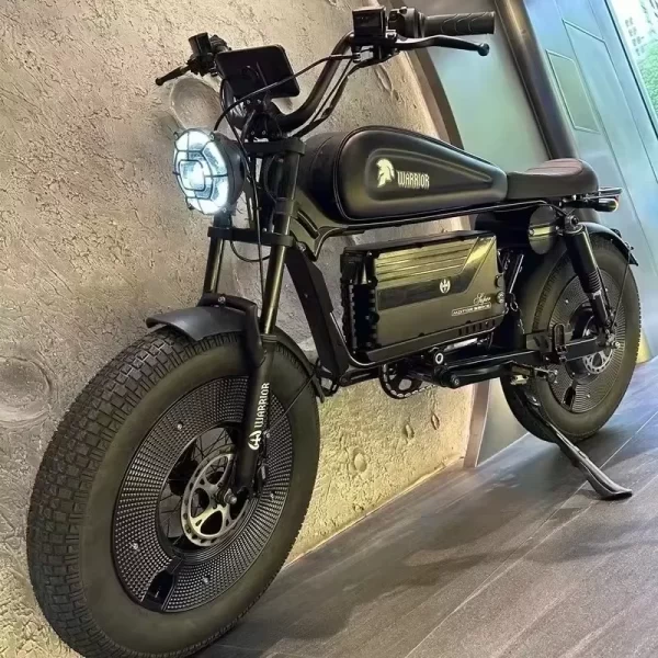 ebik black warrior 3000w motorcycle 60v 45ah ebike adult highway electric bike 20 inch off road fat tires suitable for desert mo