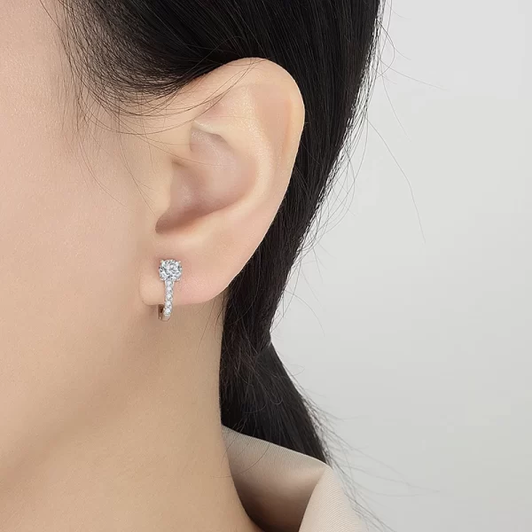 perfany 0.5ct moissanite hoop earrings women's 100% pure silver shiny laboratory diamond fashion wedding high end jewelry
