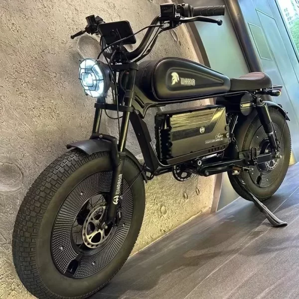 zpw black warrior 1500w motorbikes 48v 60ah ebike adult road electric bicycle 20 inch off road fat tyre electric bike 2000w