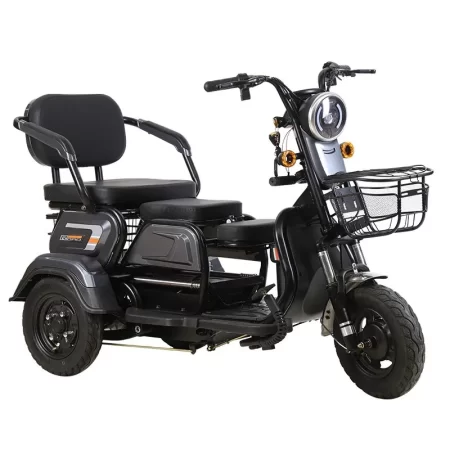 electric 3 wheeled lead acid battery 48v600w adult elderly leisure travel small household mini citycoco scooter