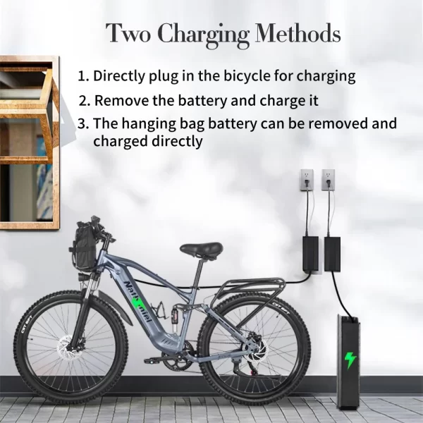 ebike syr03 off road electric mountain bike 1000w 48v 20ah lithium battery powered bicycle soft tail shock absorption all terrai