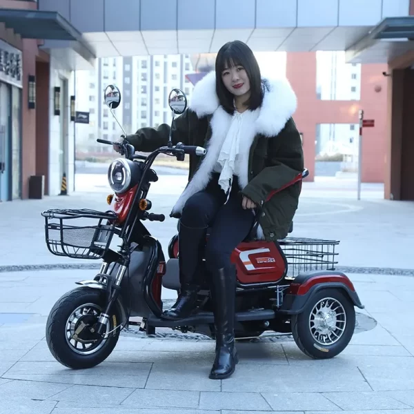 electric 3 wheeled lead acid battery 48v600w adult elderly leisure travel small household mini citycoco scooter