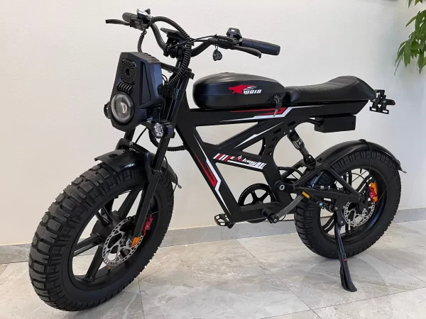 ebike wo18 3000w dual motor 25ah dual battery top speed 55km/h 20*4.5fat tire electric bike mountain electric bicycle