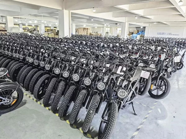 electric bike c93 2000w 48v23ah off road tyre dual battery model electric bicycle max speed 55km aluminum alloy e bike for adult