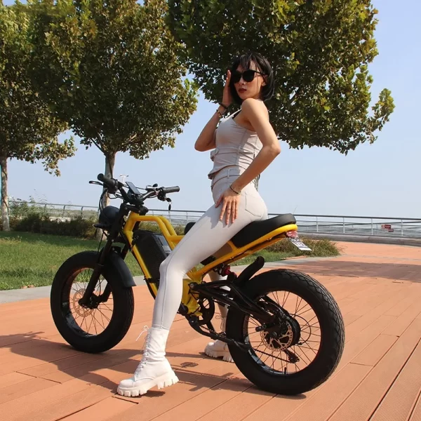 electric bike akez 1500w 48v18ah 20 wheel size hybrid all terrain off road oil brake multiple shock absorption electric bicycle