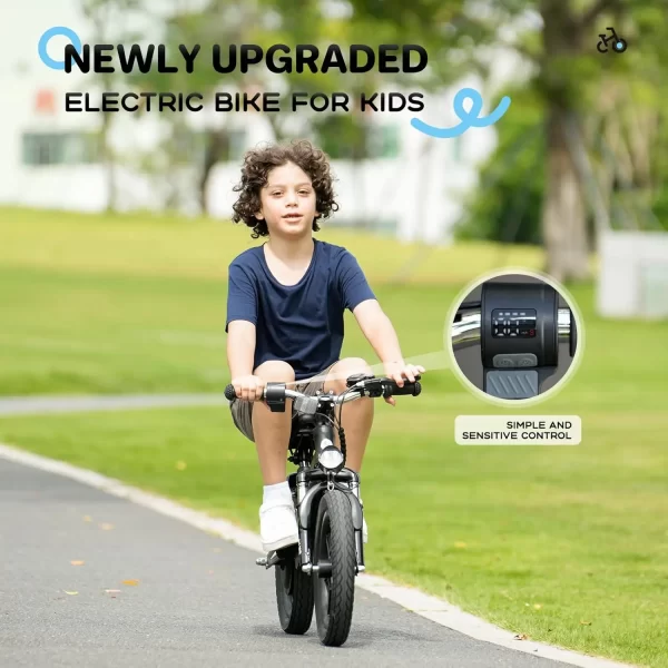 isinwheel 2 in 1 electric bike for kids ages 2 6, 250w/150w electric balance bike w/ swappable battery, 14 inch inflatable tire