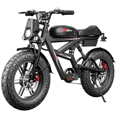 ebike wo18 3000w dual motor 25ah dual battery top speed 55km/h 20*4.5fat tire electric bike mountain electric bicycle