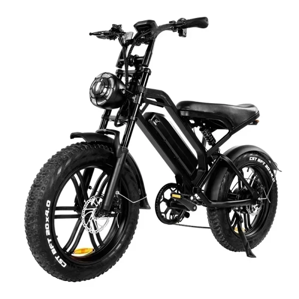 newly v20pro electric bicycle 1000w 48v 15ah ebike , 20 inch electric fat tire electric city mountain bike