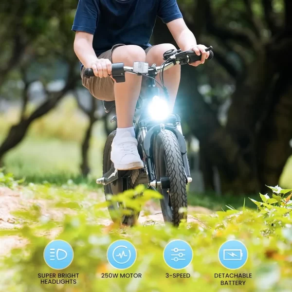 isinwheel 2 in 1 electric bike for kids ages 2 6, 250w/150w electric balance bike w/ swappable battery, 14 inch inflatable tire