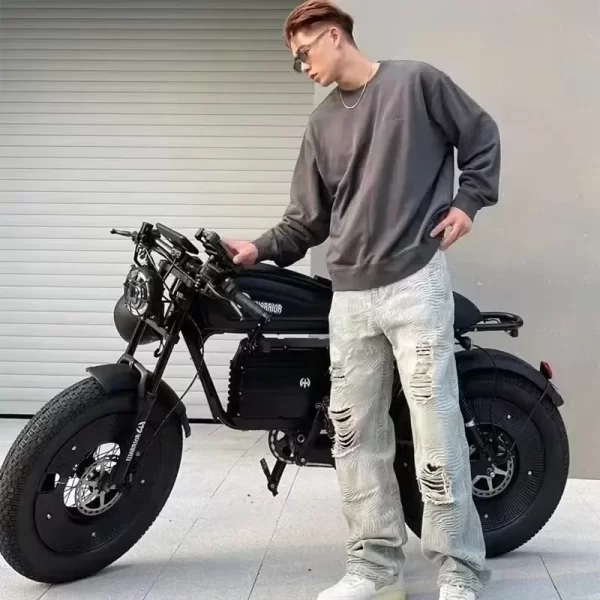 ebik black warrior 3000w motorcycle 60v 45ah ebike adult highway electric bike 20 inch off road fat tires suitable for desert mo