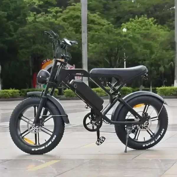 newly v20pro electric bicycle 1000w 48v 15ah ebike , 20 inch electric fat tire electric city mountain bike