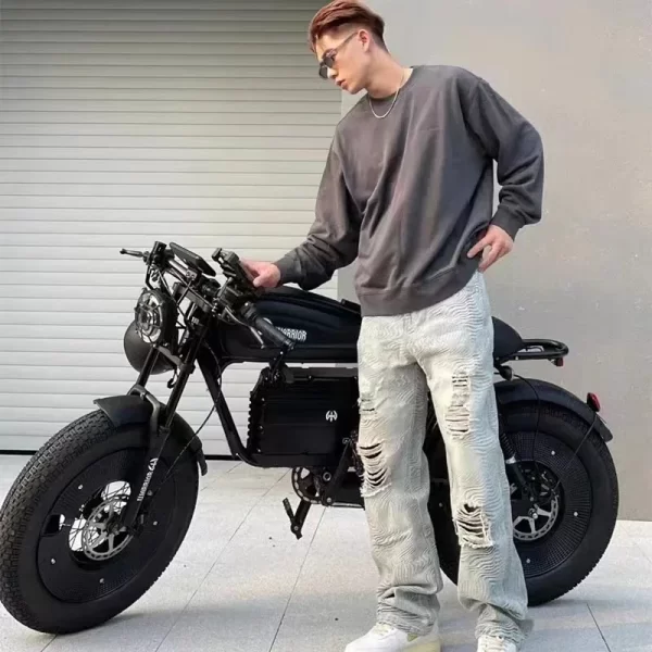 1500w 48v60ah black warrior motorbikes 20inch fat tyre electric bike adult road hydraulic brake e bike adult road electric bike