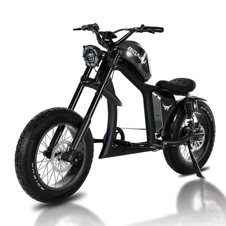 electric bike 1500w 48v 31.5ah lithium battery 20 inch fat tire road city ebike aluminum alloy adult off road electric bicycle